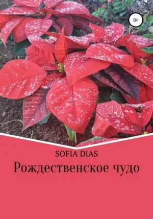 Рождественское Чудо