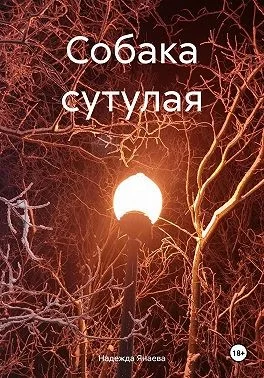 Собака сутулая