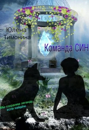 Команда Син, или А вы как думали?